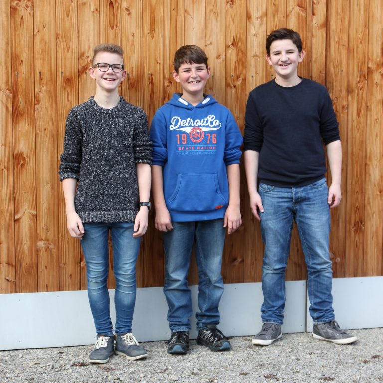 Projektvorschaubild