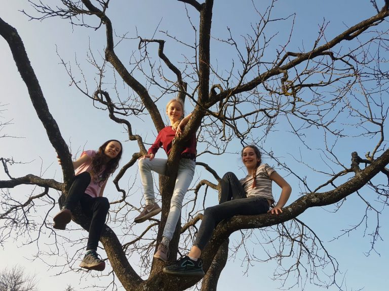 Projektvorschaubild