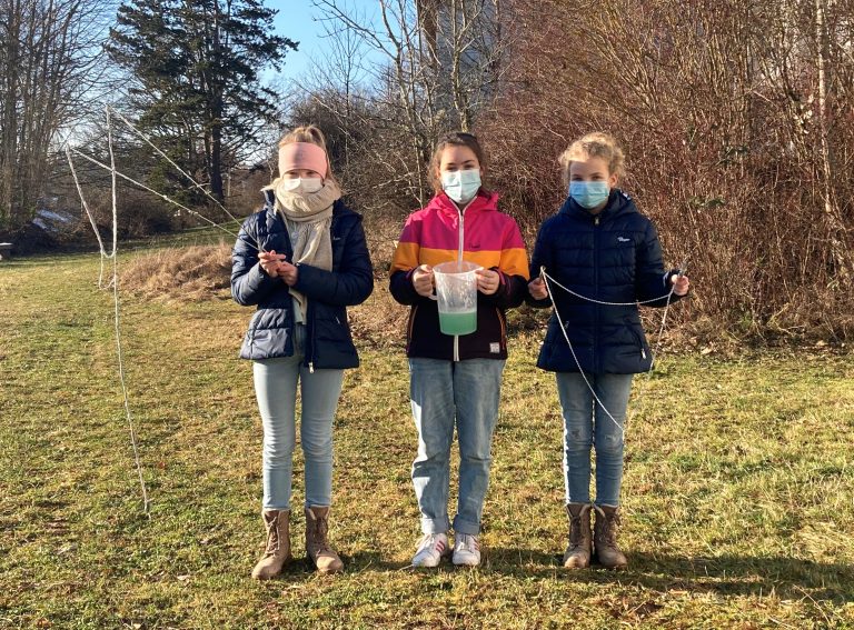 Projektvorschaubild